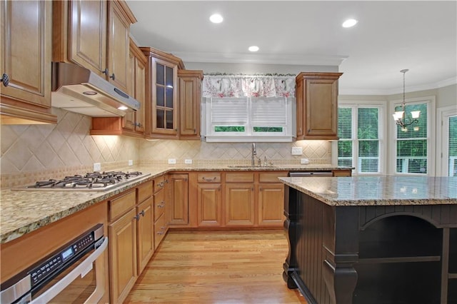 26 Trillium Ln, Acworth, GA 30101 - kitchen with a sink, under cabinet range hood, appliances with stainless steel finishes, light wood-style floors, and ornamental molding