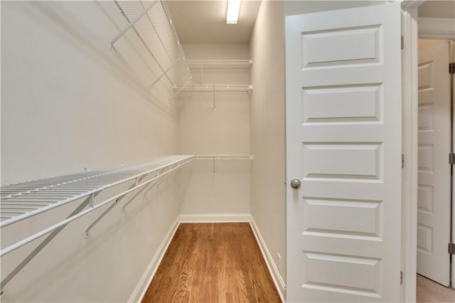 26 Trillium Ln, Acworth, GA 30101 - walk in closet with light wood-style flooring