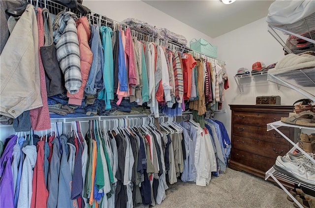 spacious closet with carpet flooring