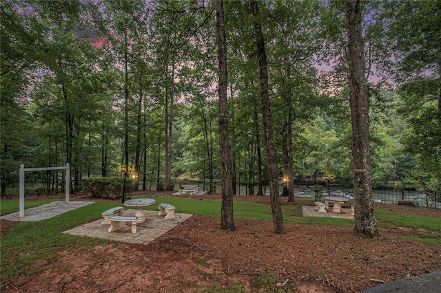 402 Clyde Ct, Mcdonough, GA 30252 - view of yard at dusk