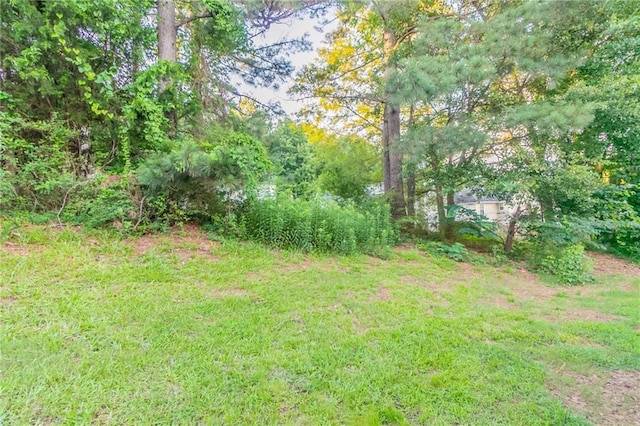 6304 Kendra Ln, Lithonia, GA 30058 - view of green lawn