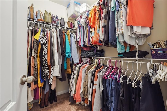 spacious closet with carpet flooring