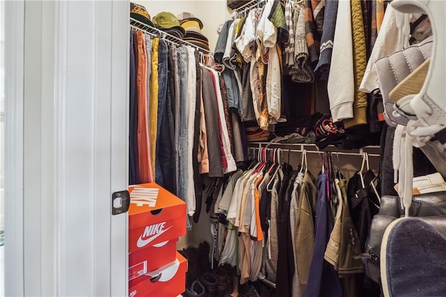 view of spacious closet