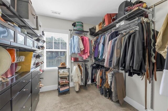 spacious closet with light carpet