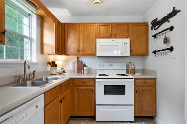 427 Pleasant Way, Temple, GA 30179 - kitchen with white appliances, light countertops, and brown cabinetry