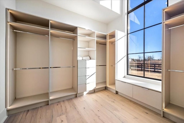 walk in closet featuring light wood-type flooring