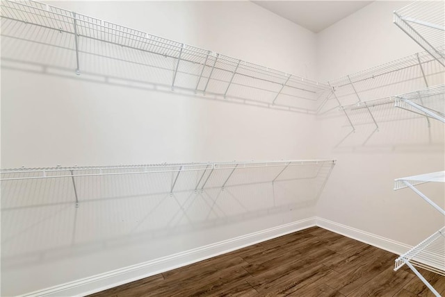 spacious closet featuring wood-type flooring