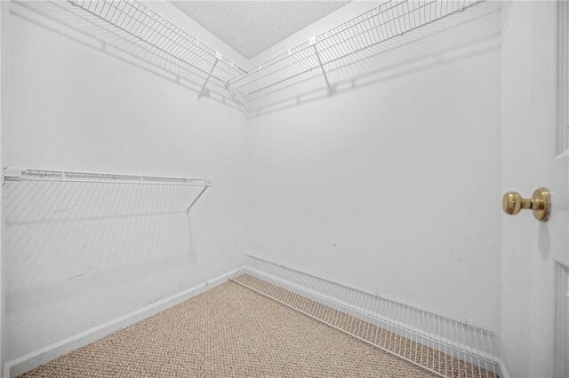 23 Chelsea Ct, Avondale Estates, GA 30002 - walk in closet featuring carpet floors