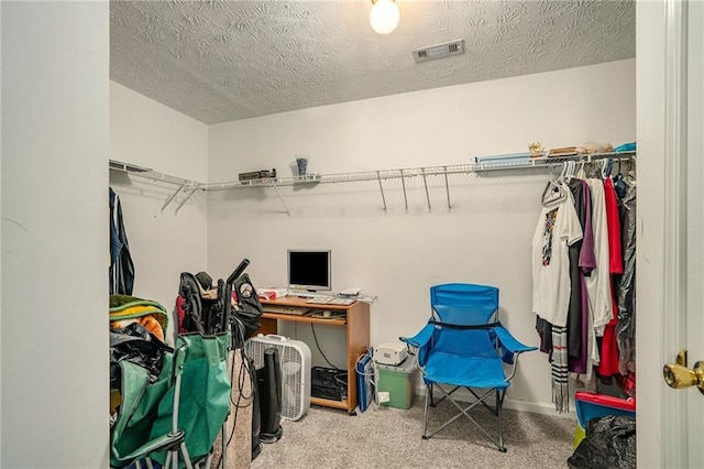 spacious closet with carpet flooring