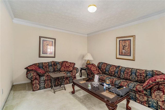 carpeted living room with crown molding and a textured ceiling