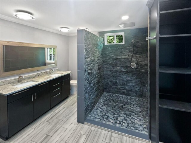 full bath featuring double vanity, plenty of natural light, a walk in shower, and a sink