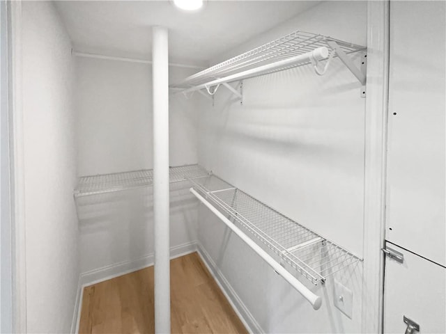 spacious closet with light wood-type flooring