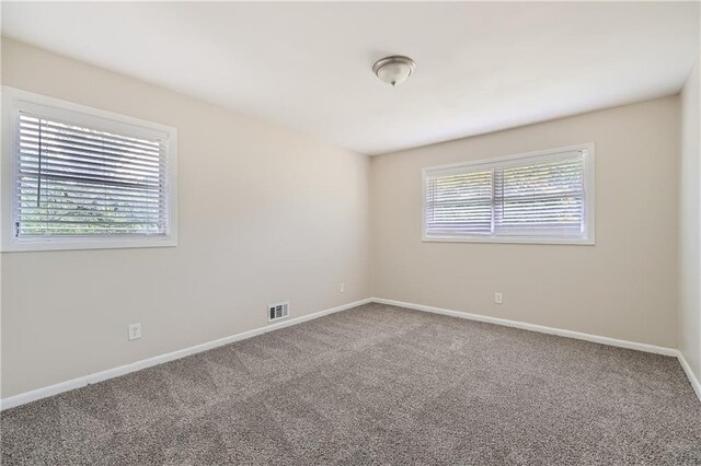 carpeted empty room with a wealth of natural light