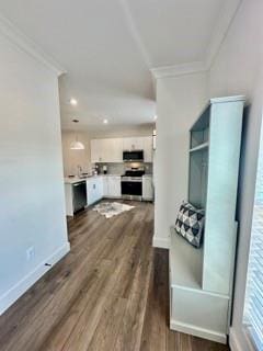 117 Chateau Dr Unit 117, Rome, GA 30161 - mudroom featuring crown molding and wood finished floors