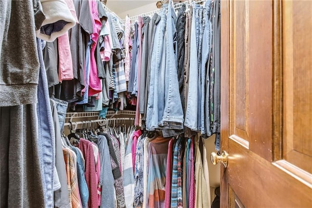 view of spacious closet