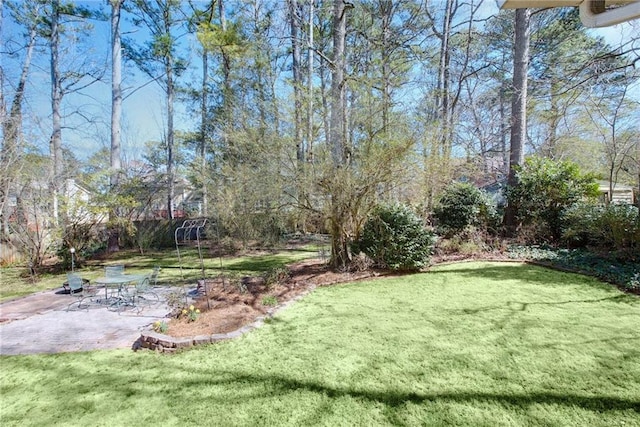 view of yard with a patio