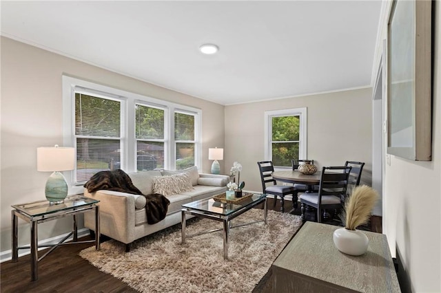 629 Dunton Cir SE, Smyrna, GA 30082 - living room featuring dark wood-style floors, crown molding, and baseboards