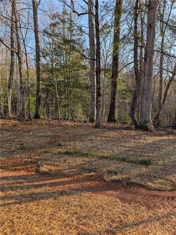 0 Yahoola Rd, Dahlonega, GA 30533