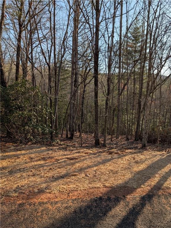 0 Yahoola Rd, Dahlonega, GA 30533