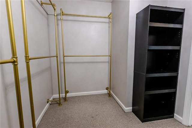 walk in closet with light colored carpet