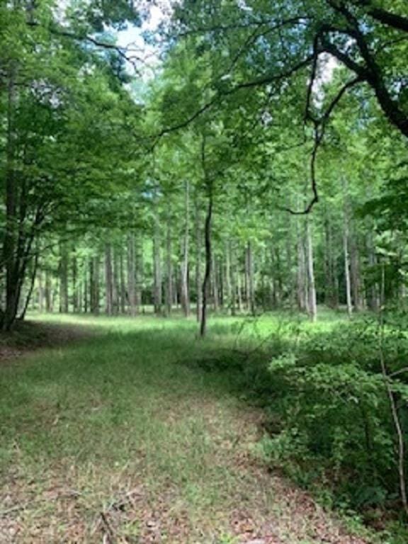 0 Craigtown Rd, Ellijay GA, 30540 land for sale