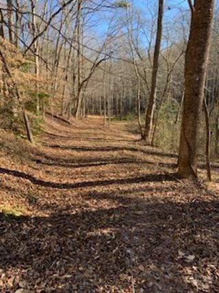 Listing photo 3 for 0 Craigtown Rd, Ellijay GA 30540