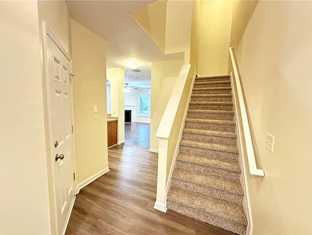 stairs with wood-type flooring