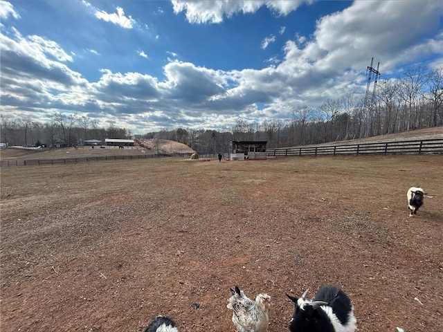 view of yard with a rural view