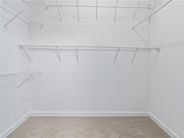 spacious closet with carpet floors