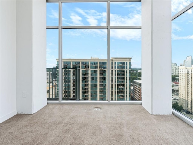 empty room featuring a wall of windows and carpet flooring