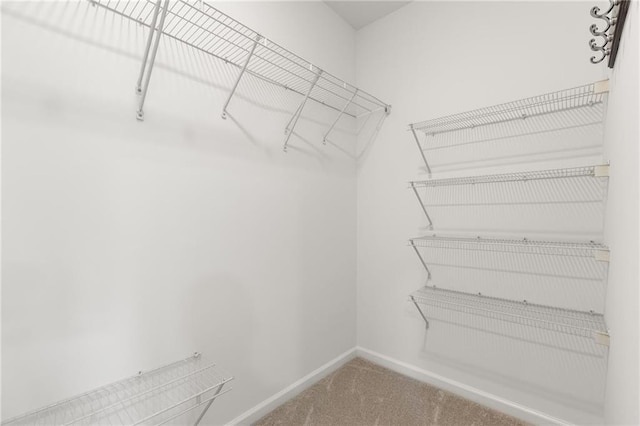 90 Grove Park Ln, Woodstock, GA 30189 - walk in closet with carpet