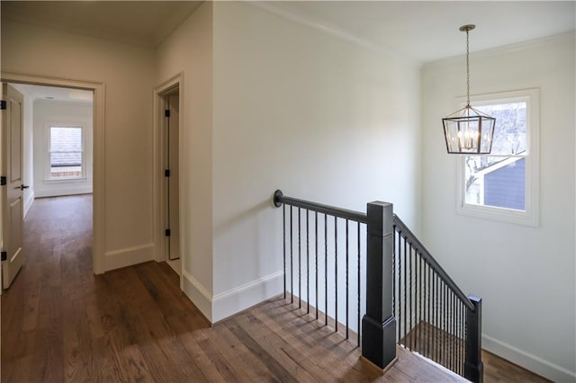 stairs with wood-type flooring, a healthy amount of sunlight, and a notable chandelier