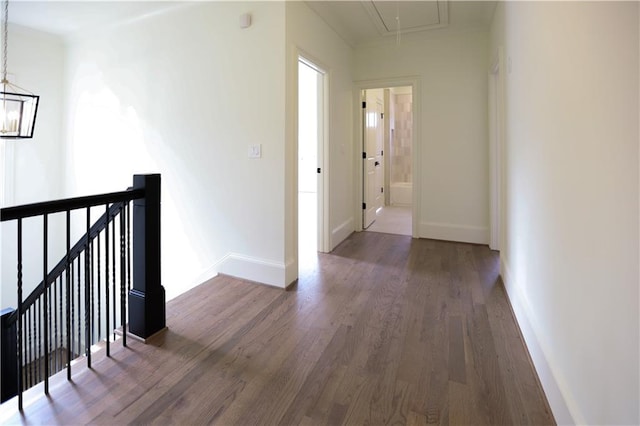 hallway featuring dark hardwood / wood-style flooring