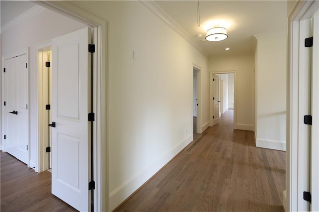 hallway with crown molding and dark wood-type flooring