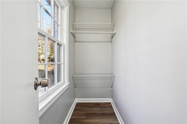 walk in closet with dark hardwood / wood-style floors