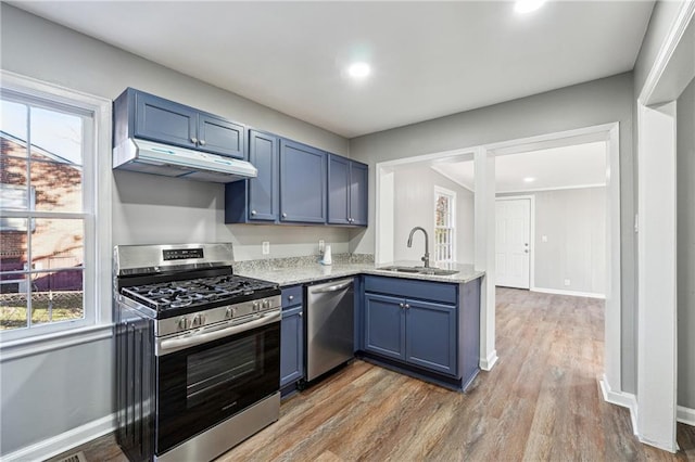 kitchen with wood-type flooring, appliances with stainless steel finishes, sink, and blue cabinets