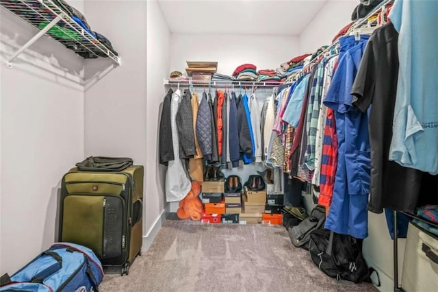 spacious closet featuring carpet flooring