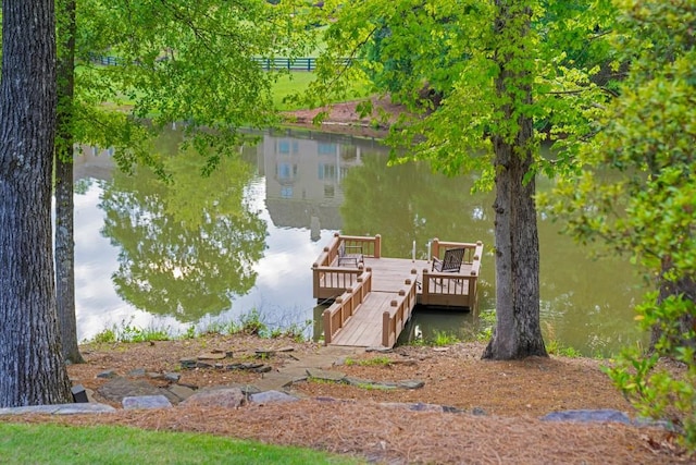 dock area with a water view
