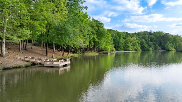 view of water feature with a view of trees