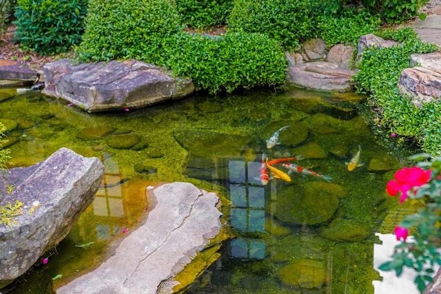 exterior space with a garden pond