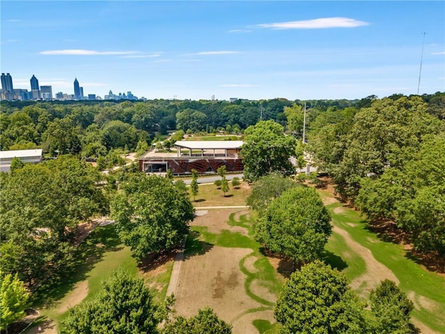 383 Pratt Dr SE Unit 503, Atlanta, GA 30315 - view of community