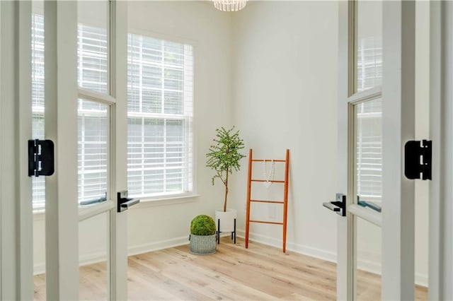 exercise room featuring plenty of natural light, baseboards, and wood finished floors