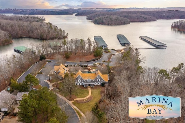 5808 Swinging Gate Rd, Gainesville, GA 30506 - aerial view with a water view and a forest view