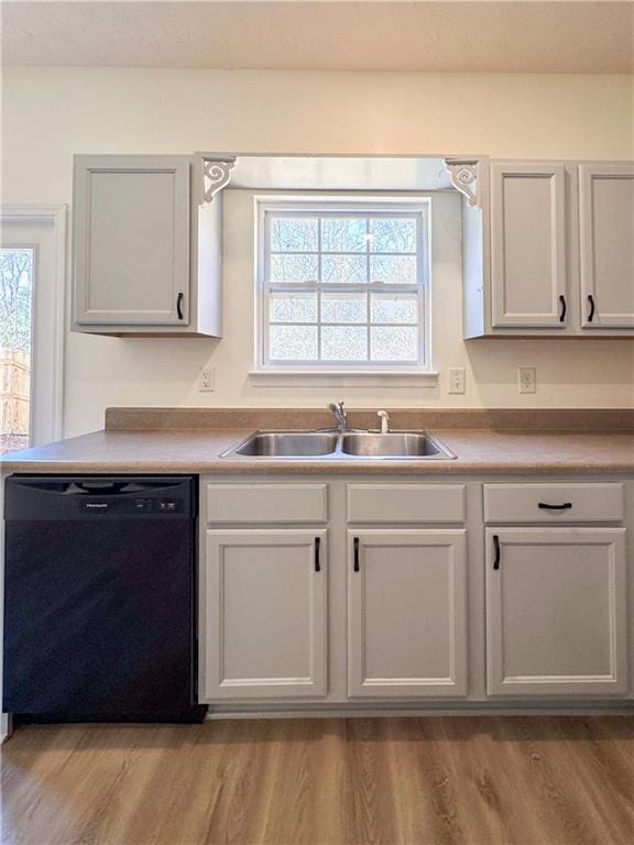 kitchen with dishwasher, light hardwood / wood-style floors, sink, and a wealth of natural light