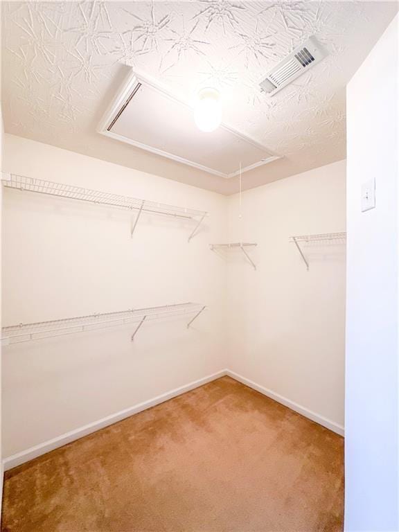 spacious closet with carpet floors