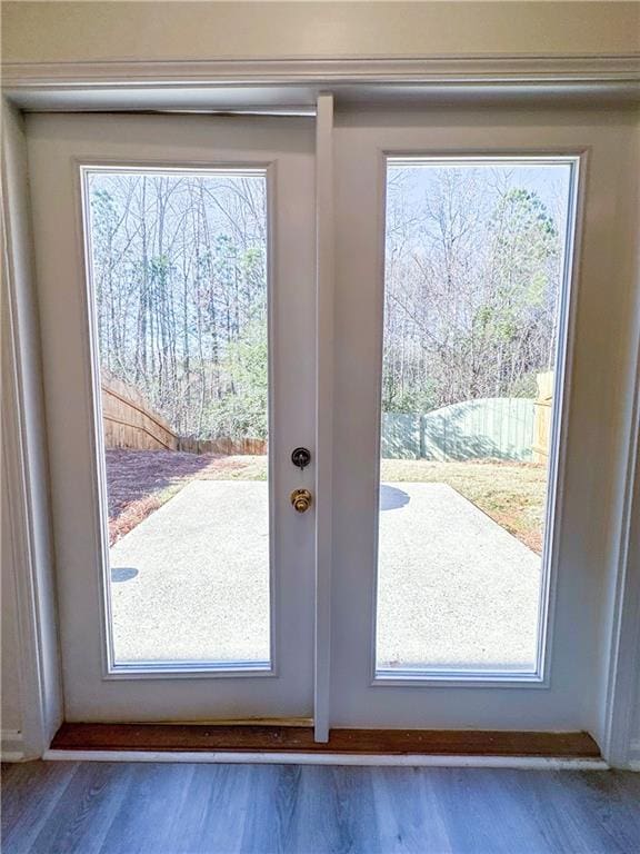 doorway with french doors, a wealth of natural light, and dark wood-type flooring