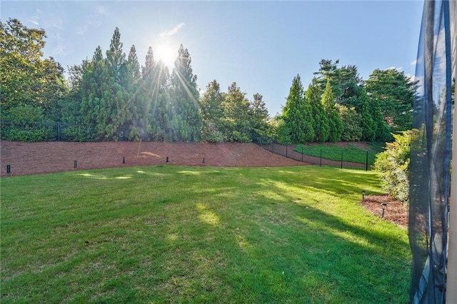 1055 Peyton View Ct, Alpharetta, GA 30004 - view of yard