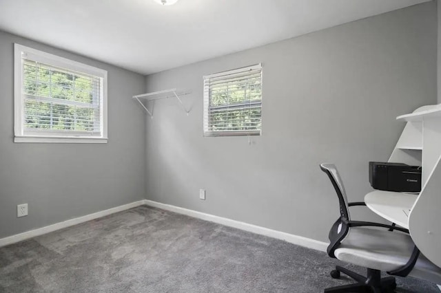 home office with carpet floors