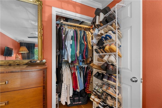 spacious closet featuring wood finished floors