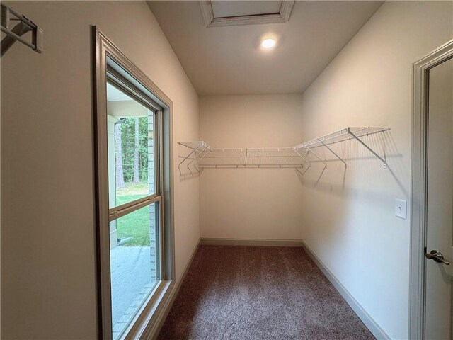 121 Honey Creek Rd, Conyers, GA 30094 - walk in closet featuring carpet flooring and attic access